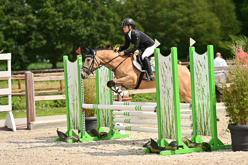 Klein Offenseth  - Hengststation Hell | 26072025 Spring WB  _065 