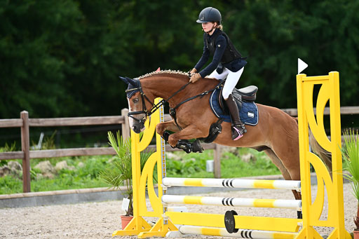 Klein Offenseth  - Hengststation Hell | 26072025 Spring WB  _069 