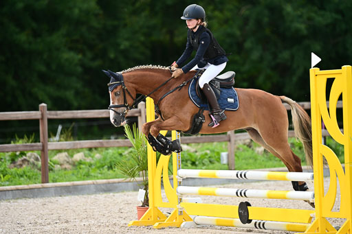 Klein Offenseth  - Hengststation Hell | 26072025 Spring WB  _070 