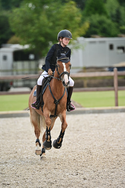 Klein Offenseth  - Hengststation Hell | 26072025 Spring WB  _071 