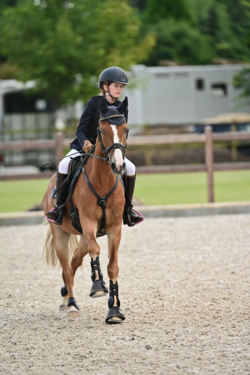 Klein Offenseth  - Hengststation Hell | 26072025 Spring WB  _072 