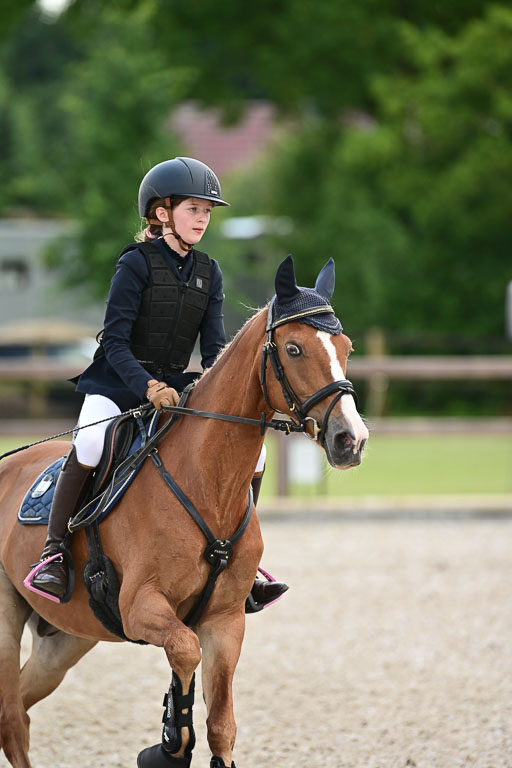 Klein Offenseth  - Hengststation Hell | 26072025 Spring WB  _073 