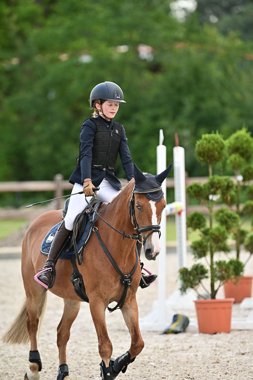 Klein Offenseth  - Hengststation Hell | 26072025 Spring WB  _078 