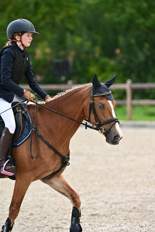 Klein Offenseth  - Hengststation Hell | 26072025 Spring WB  _079 