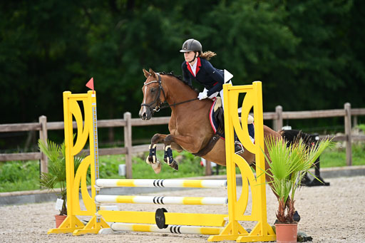 Klein Offenseth  - Hengststation Hell | 26072025 Spring WB  _083 