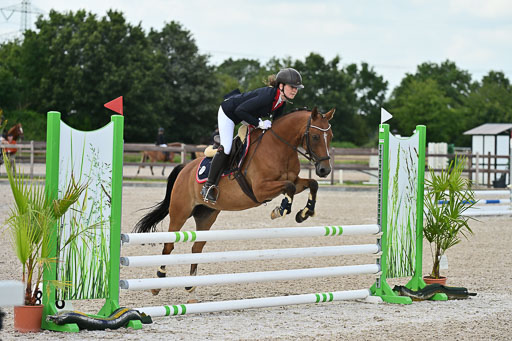 Klein Offenseth  - Hengststation Hell | 26072025 Spring WB  _089 