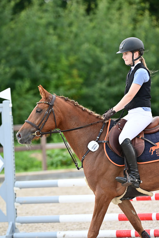 Klein Offenseth  - Hengststation Hell | 26072025 Spring WB  _090 