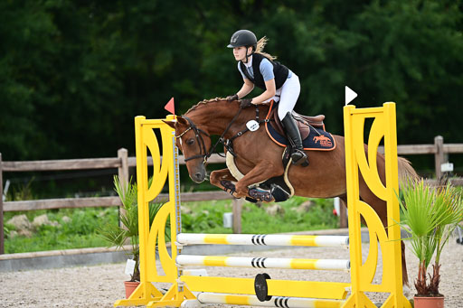 Klein Offenseth  - Hengststation Hell | 26072025 Spring WB  _091 