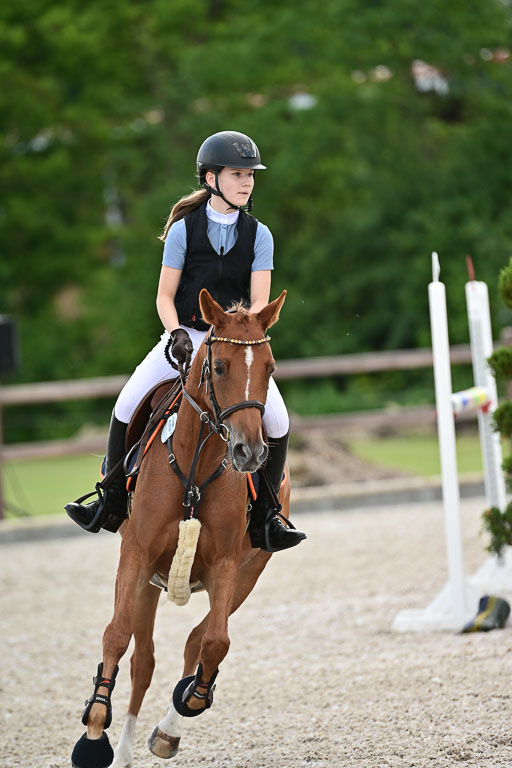 Klein Offenseth  - Hengststation Hell | 26072025 Spring WB  _092 