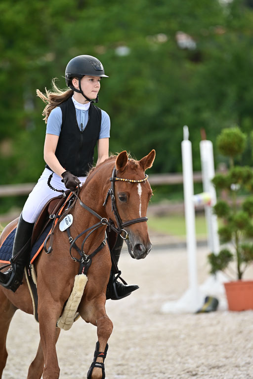 Klein Offenseth  - Hengststation Hell | 26072025 Spring WB  _093 