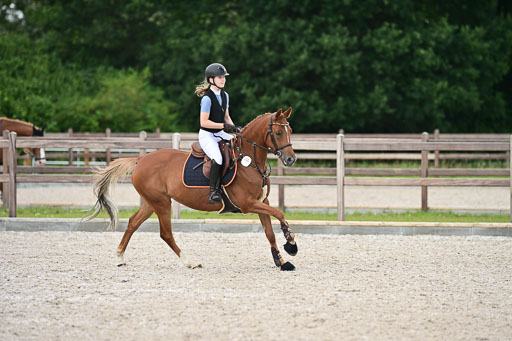 Klein Offenseth  - Hengststation Hell | 26072025 Spring WB  _094 