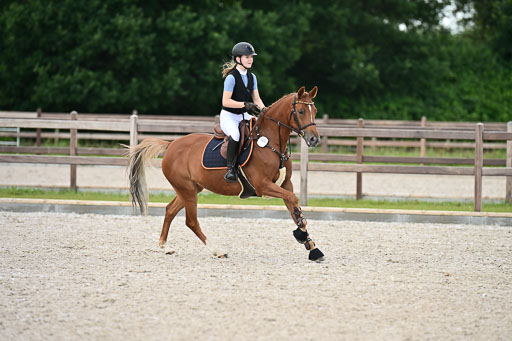 Klein Offenseth  - Hengststation Hell | 26072025 Spring WB  _095 