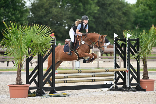 Klein Offenseth  - Hengststation Hell | 26072025 Spring WB  _096 