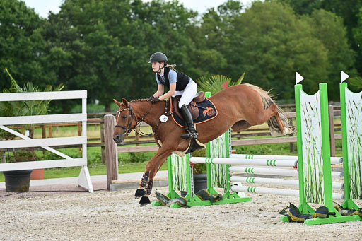 Klein Offenseth  - Hengststation Hell | 26072025 Spring WB  _099 