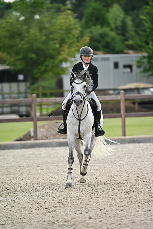 Klein Offenseth  - Hengststation Hell | 26072025 Spring WB  _115 