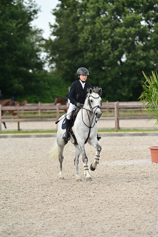 Klein Offenseth  - Hengststation Hell | 26072025 Spring WB  _122 