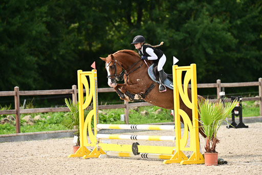 Klein Offenseth  - Hengststation Hell | 26072025 Spring WB  _124 