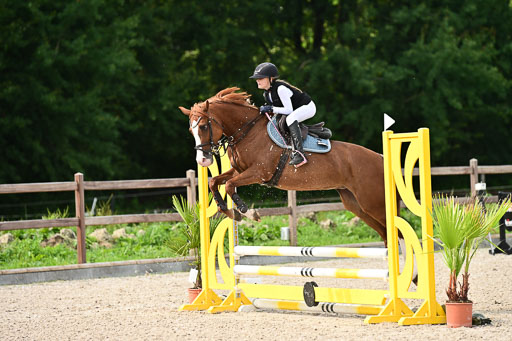 Klein Offenseth  - Hengststation Hell | 26072025 Spring WB  _125 