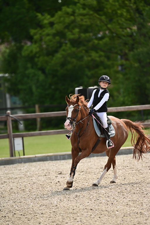 Klein Offenseth  - Hengststation Hell | 26072025 Spring WB  _126 