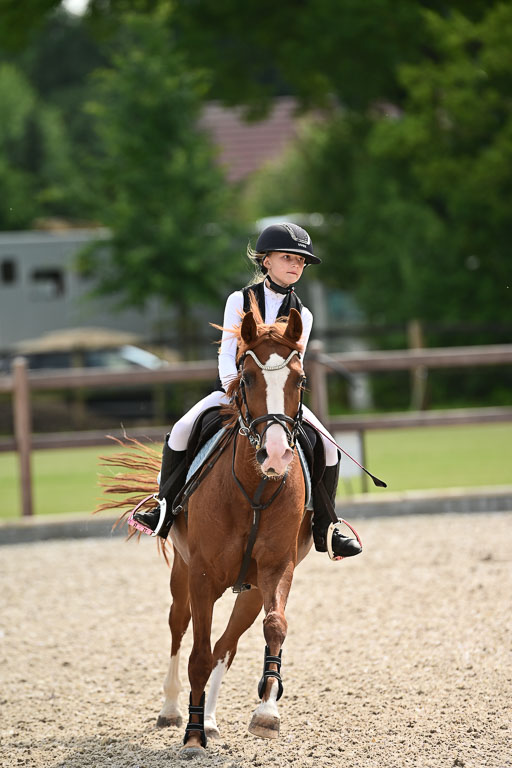 Klein Offenseth  - Hengststation Hell | 26072025 Spring WB  _127 