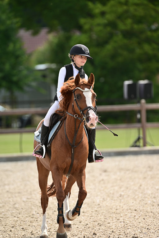 Klein Offenseth  - Hengststation Hell | 26072025 Spring WB  _128 