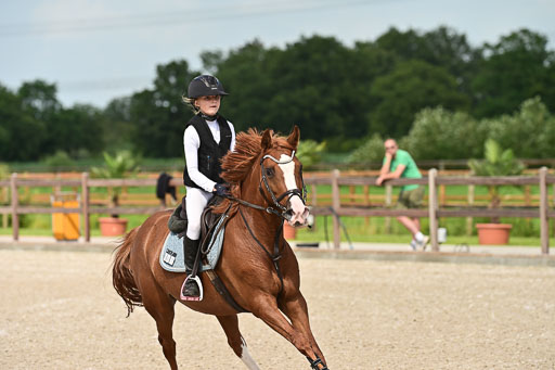 Klein Offenseth  - Hengststation Hell | 26072025 Spring WB  _134 