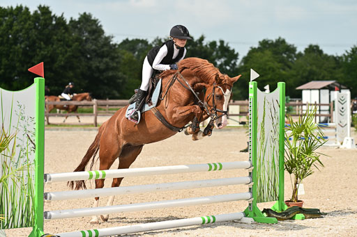 Klein Offenseth  - Hengststation Hell | 26072025 Spring WB  _137 