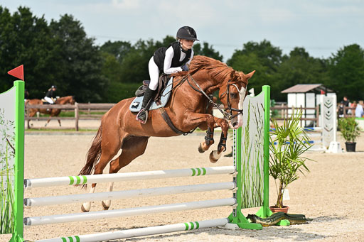 Klein Offenseth  - Hengststation Hell | 26072025 Spring WB  _138 