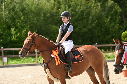 Klein Offenseth  - Hengststation Hell | 26072025 Spring WB  _143 