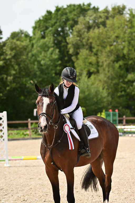 Klein Offenseth  - Hengststation Hell | 26072025 Spring WB  _146 