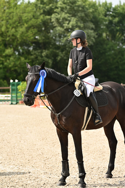 Klein Offenseth  - Hengststation Hell | 26072025 Spring WB  _147 