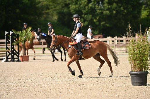 Klein Offenseth  - Hengststation Hell | 26072025 Spring WB  _151 