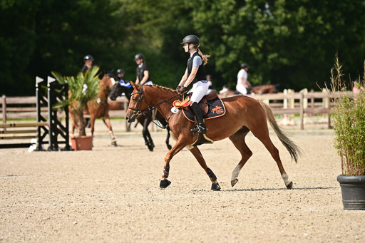 Klein Offenseth  - Hengststation Hell | 26072025 Spring WB  _152 