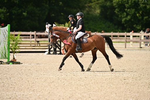 Klein Offenseth  - Hengststation Hell | 26072025 Spring WB  _153 