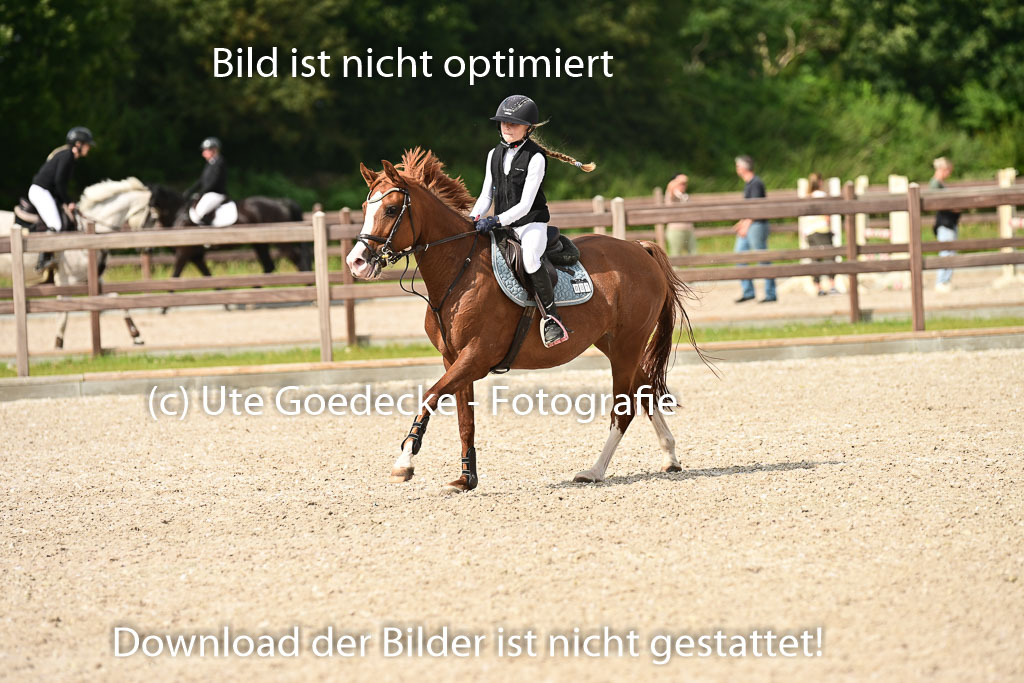 Klein Offenseth  - Hengststation Hell | 26072025 A Springen _019 