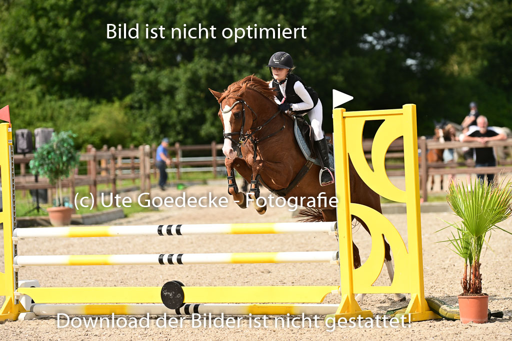 Klein Offenseth  - Hengststation Hell | 26072025 A Springen _020 