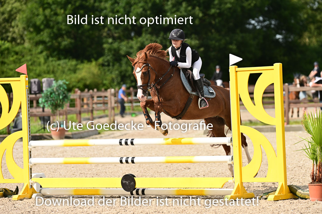 Klein Offenseth  - Hengststation Hell | 26072025 A Springen _021 