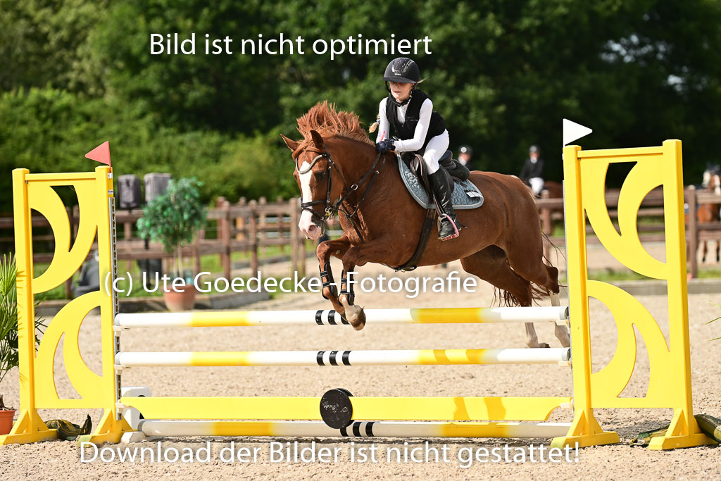 Klein Offenseth  - Hengststation Hell | 26072025 A Springen _022 
