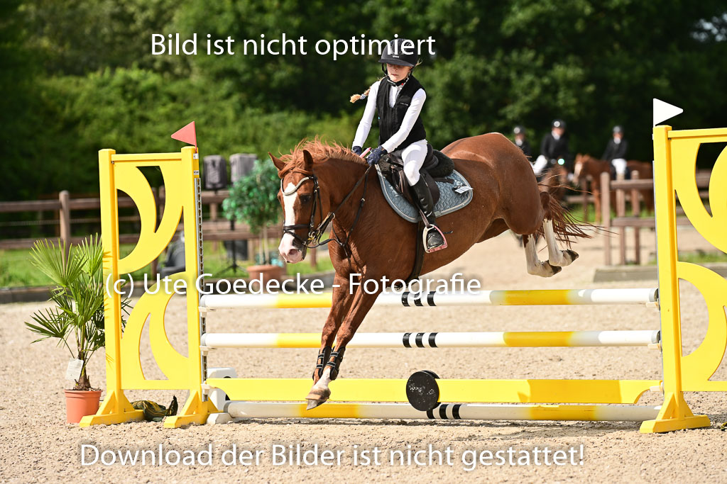 Klein Offenseth  - Hengststation Hell | 26072025 A Springen _023 