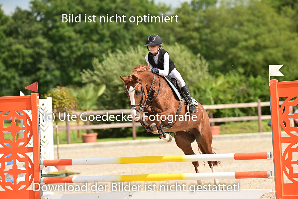 Klein Offenseth  - Hengststation Hell | 26072025 A Springen _025 