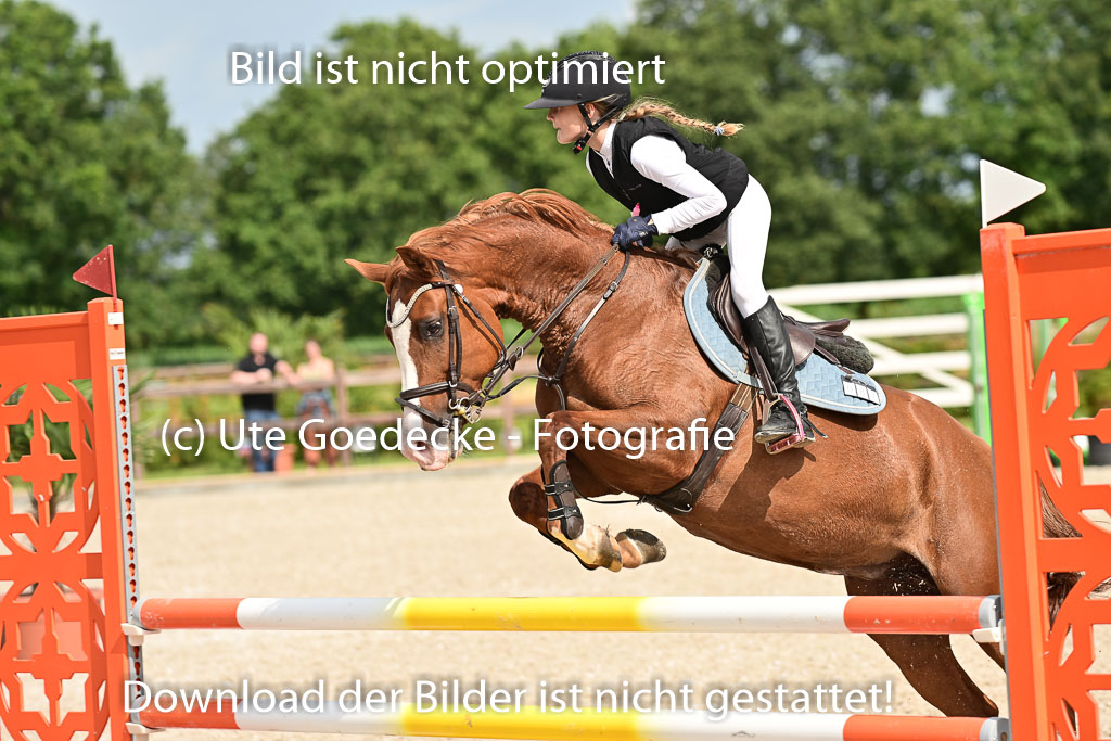 Klein Offenseth  - Hengststation Hell | 26072025 A Springen _027 