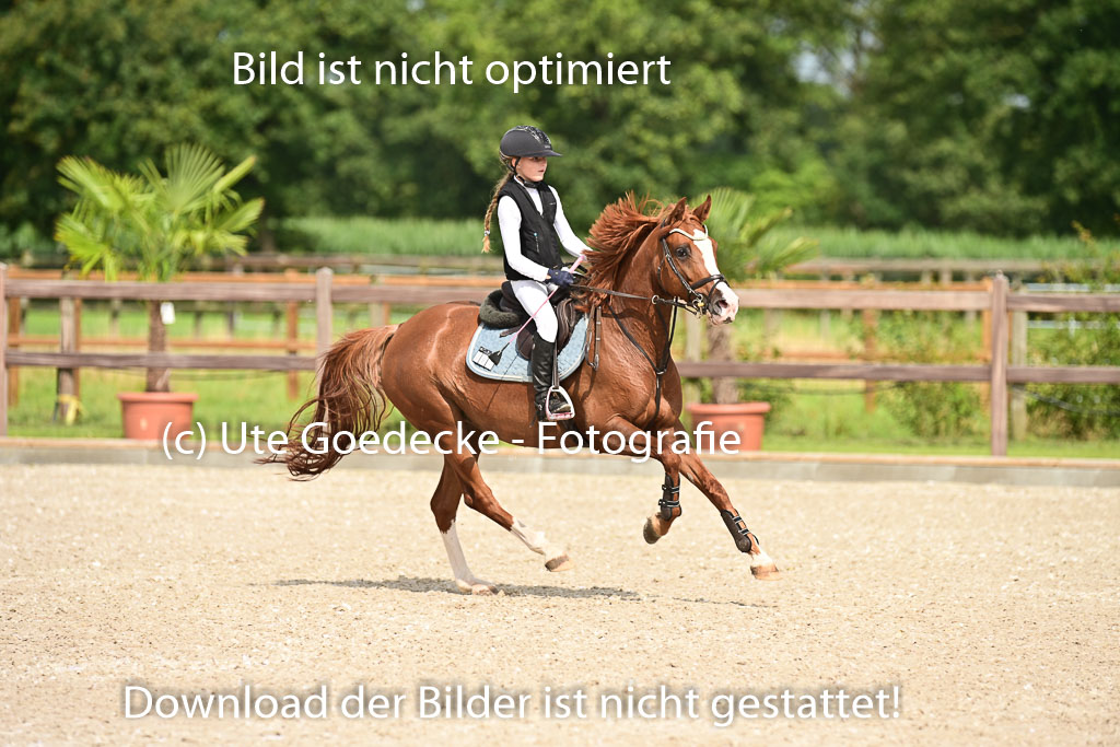 Klein Offenseth  - Hengststation Hell | 26072025 A Springen _028 