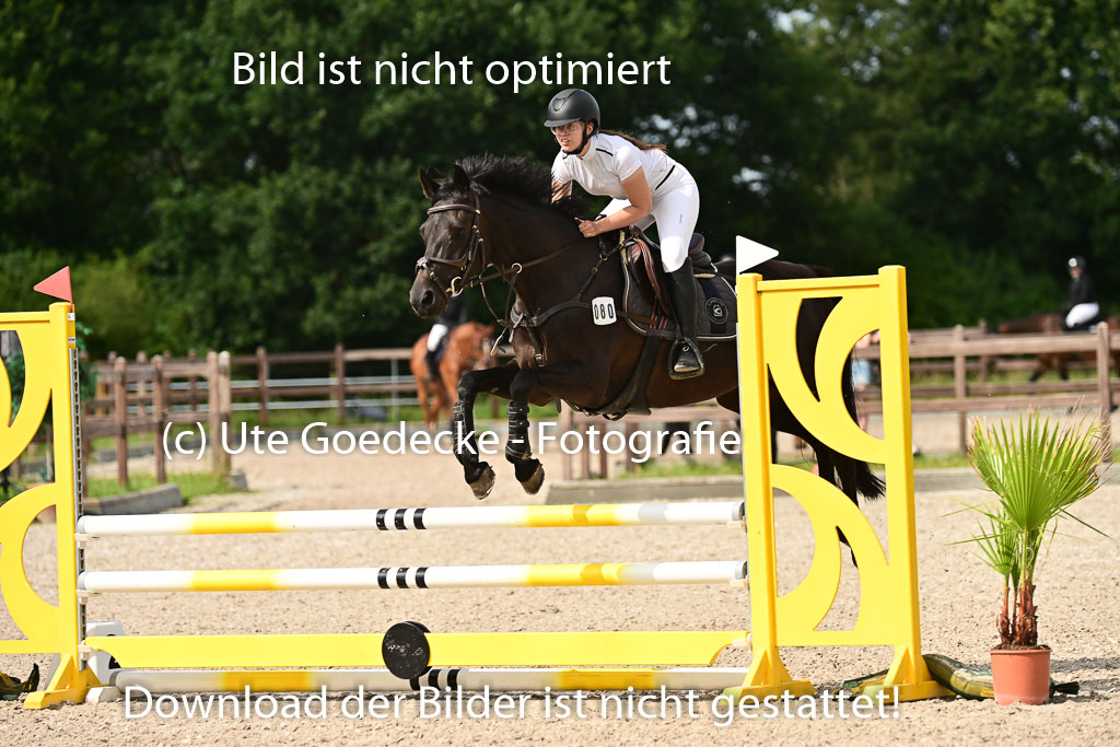 Klein Offenseth  - Hengststation Hell | 26072025 A Springen _034 