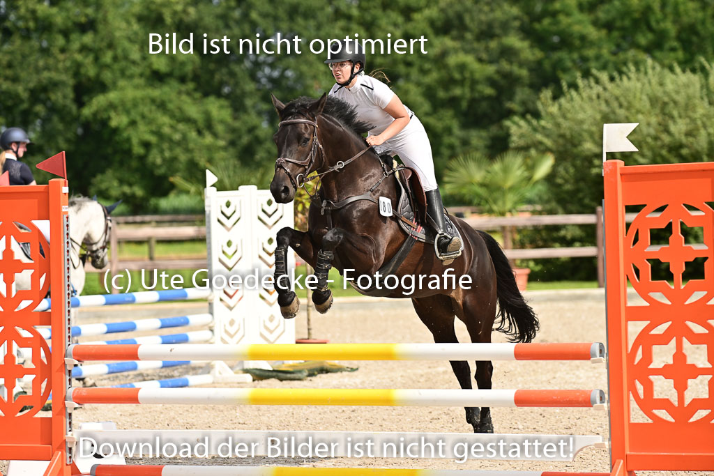 Klein Offenseth - Hengststation Hell | 26072025 A Springen _035