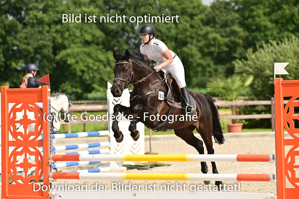 Klein Offenseth  - Hengststation Hell | 26072025 A Springen _036 