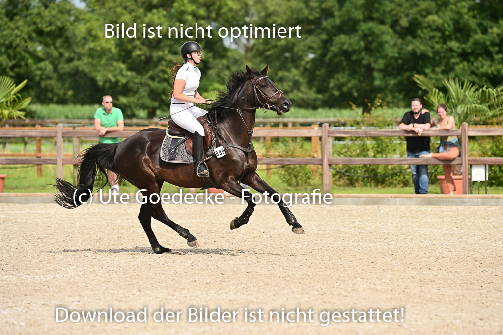 Klein Offenseth  - Hengststation Hell | 26072025 A Springen _038 