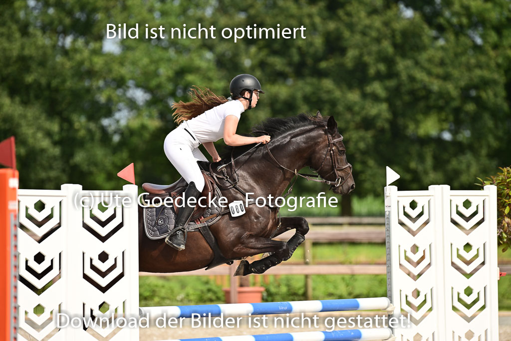 Klein Offenseth  - Hengststation Hell | 26072025 A Springen _039 
