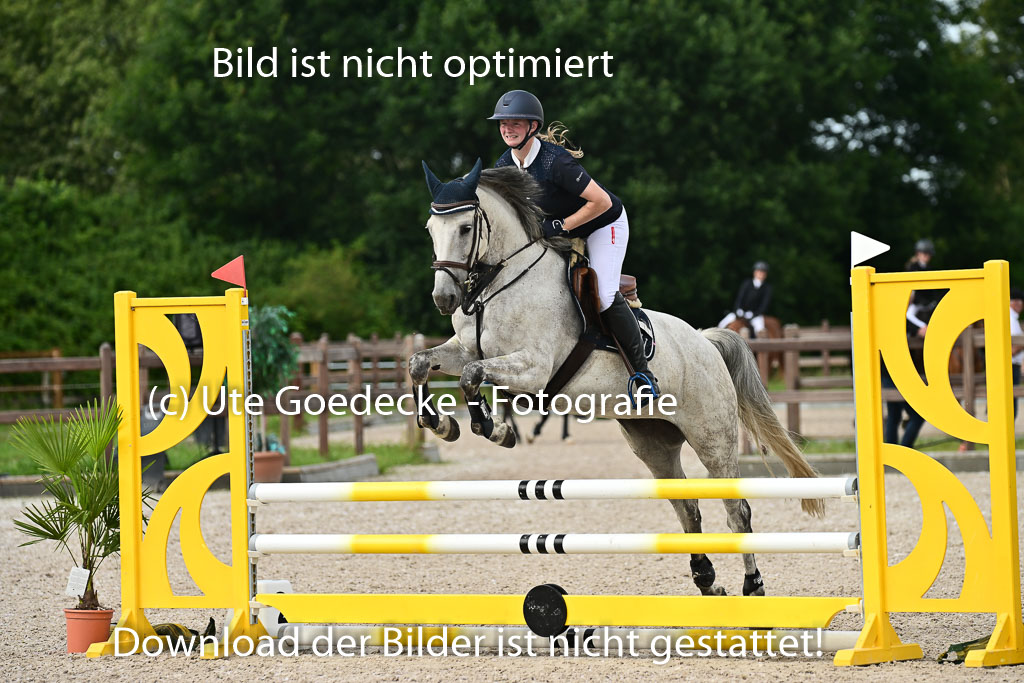 Klein Offenseth  - Hengststation Hell | 26072025 A Springen _042 