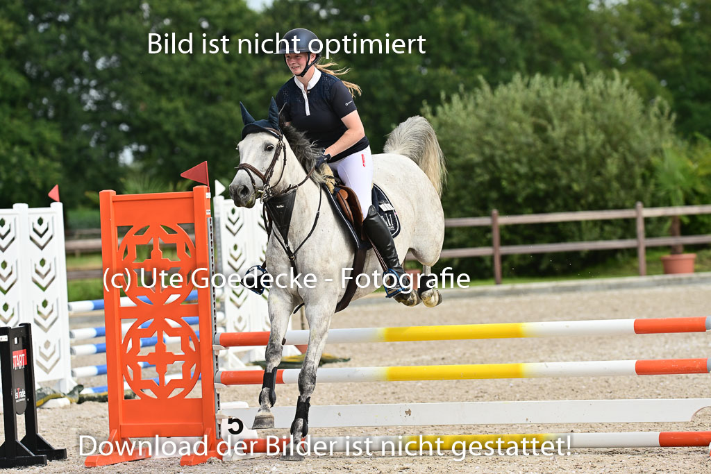 Klein Offenseth  - Hengststation Hell | 26072025 A Springen _046 