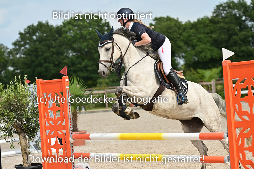 Klein Offenseth  - Hengststation Hell | 26072025 A Springen _047 